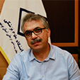 دکتر عباس هادی پور