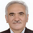 دکتر سید محمد حسین موسوی نیک