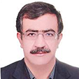 دکتر محمد حسین ترابی نژاد کرمانی
